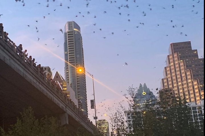 Austin Famous Ghost and Bat Segway Tour - Photo 1 of 6